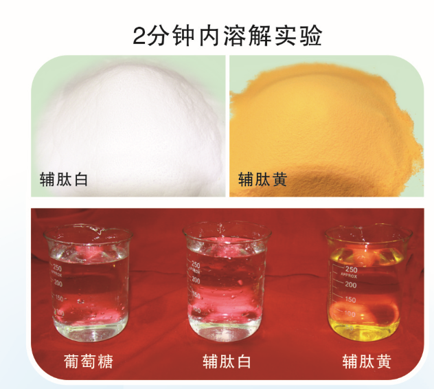 新型药用辅料-完全替代葡萄糖